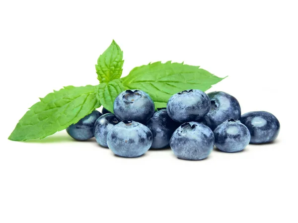 Färska blåbär och mynta blad — Stockfoto