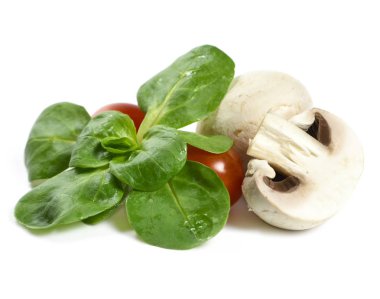 taze Bahçe Beyaz salata