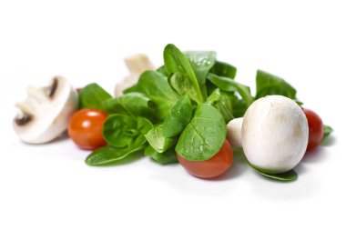 taze Bahçe Beyaz salata