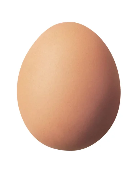 Uovo marrone in piedi, isolato — Foto Stock