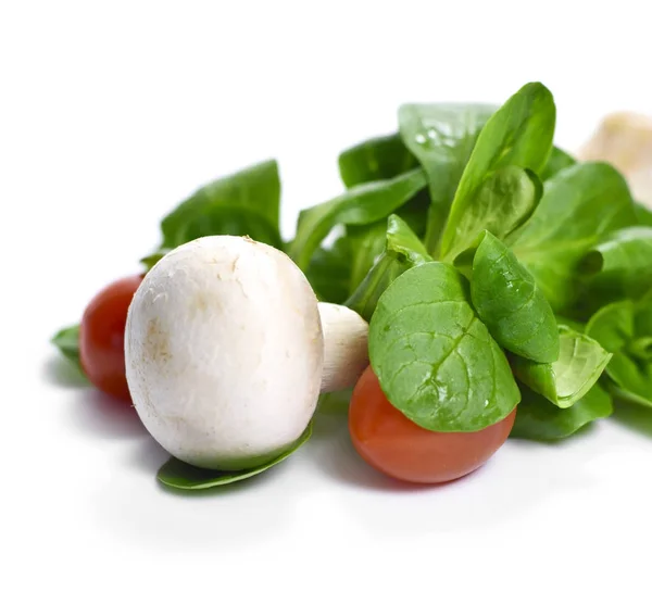 Salada de jardim fresca com cogumelos brancos — Fotografia de Stock