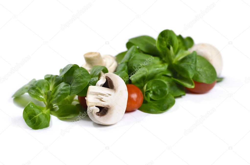 fresh garden salad with white mushrooms