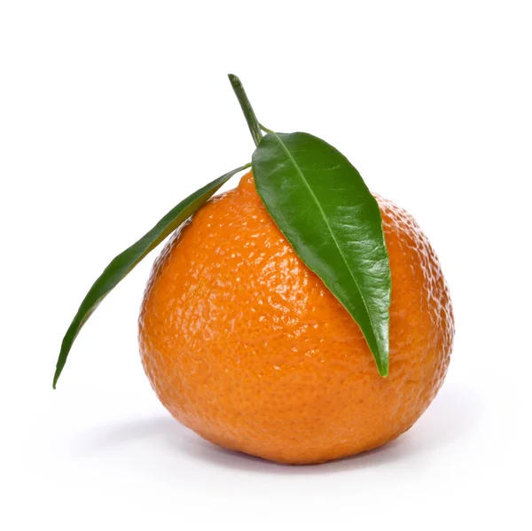 Färsk apelsin med blad — Stockfoto