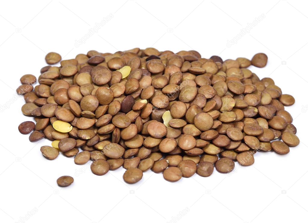 Brown lentils, isolated 