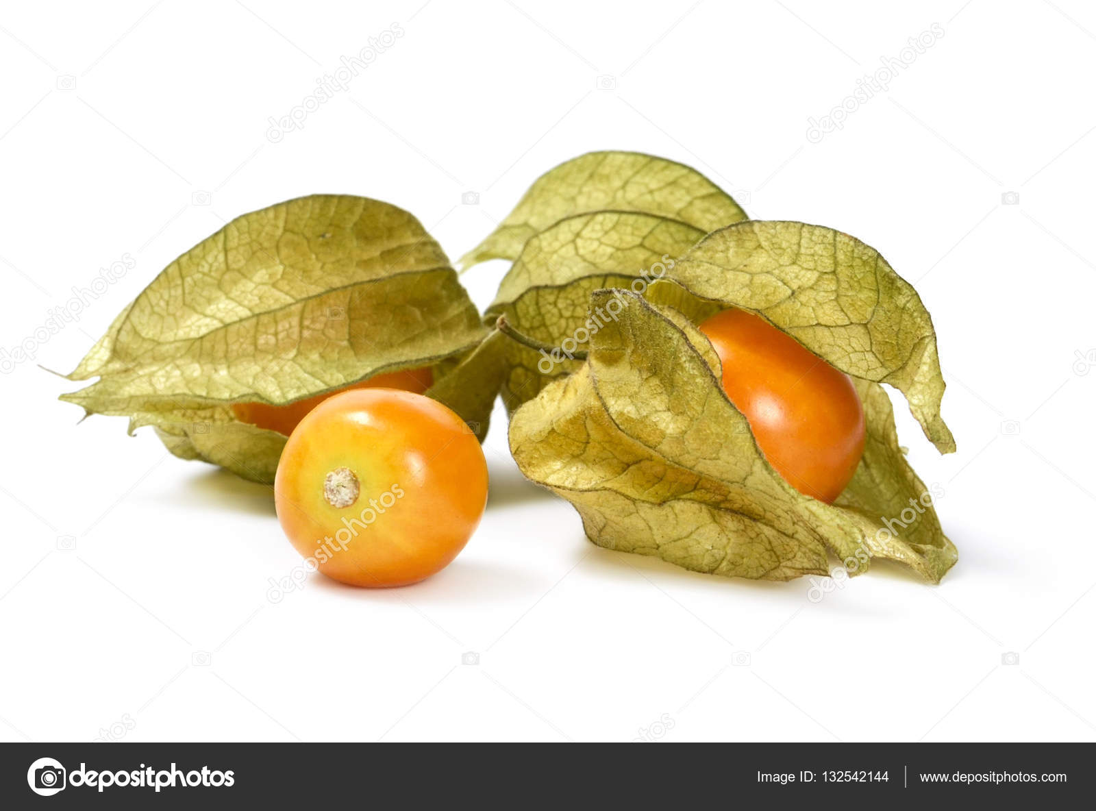 Fresh Winter Cherry Stock Photo By C Eivaisla