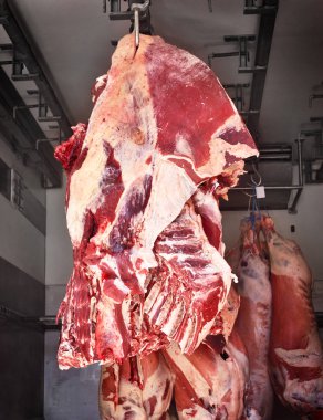 Ham sığır eti, kasaplık taşıma