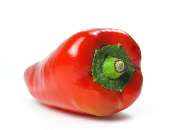 Červená paprika nebo kapie — Stock fotografie