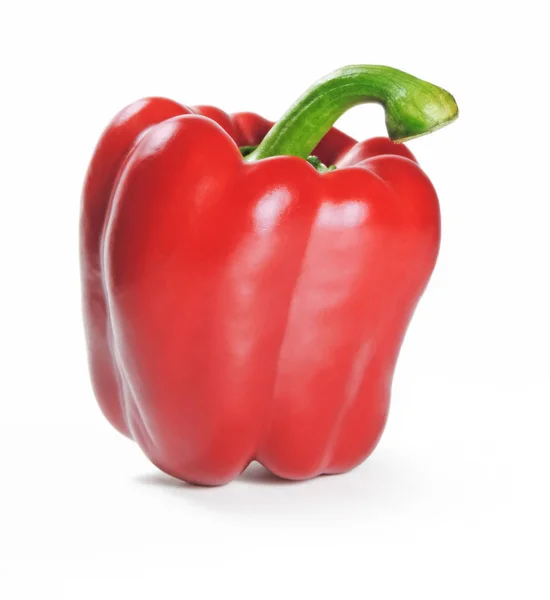 Red bell pepper vegetable, isolated — Stock Photo, Image