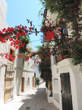 Tarihi İbiza kenti, Dalt Vila
