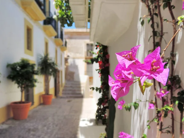 Dalt Vila, historic city of Ibiza town — Stock Photo, Image