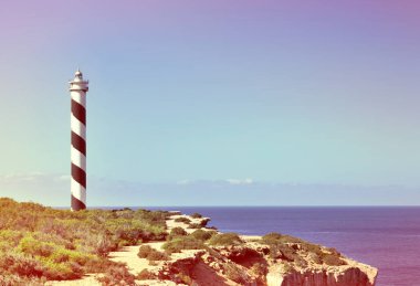 Siyah ve beyaz çizgili deniz feneri 