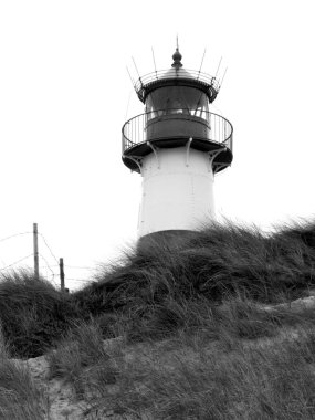 Fener beach dune üzerine