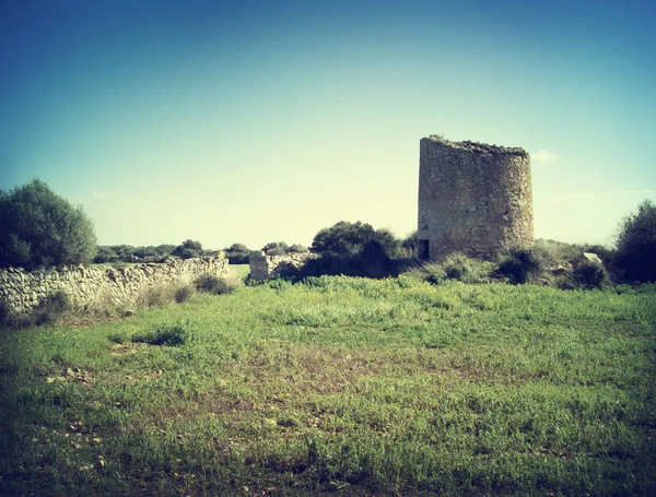 Oude molen ruïne op een veld of weide — Stockfoto