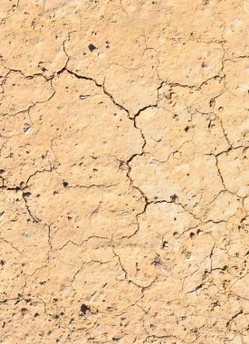 Kuru zemin veya kat, çöl sahne