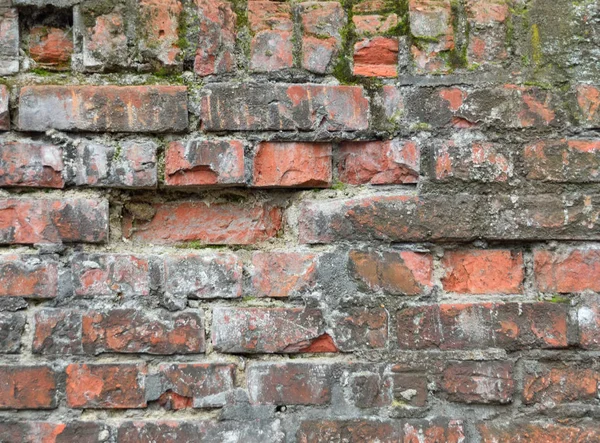 Фон или текстура кирпичной стены — стоковое фото