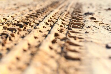 Kumda tekerlek izleri