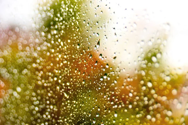 Szelektív összpontosít esőcseppek, egy ablak — Stock Fotó