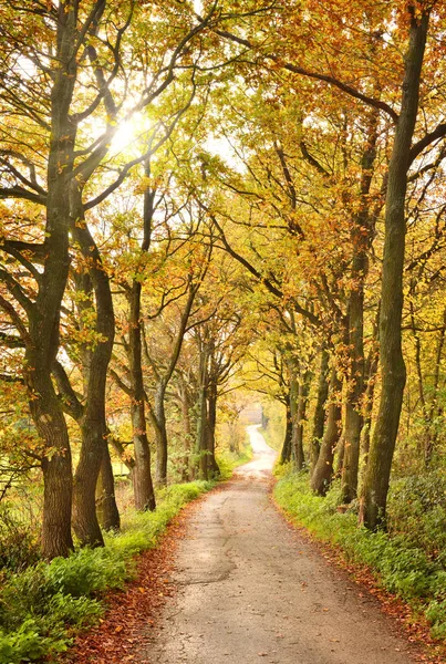 Herbstliche Szenerie, idyllische Landstraße — Stockfoto