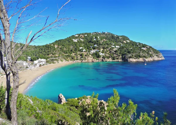 Cala Beach San Vicente Ibiza Adası — Stok fotoğraf