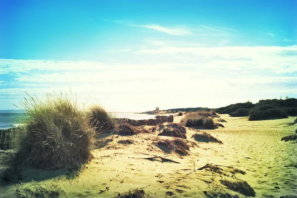 Stranddünen in der Sonne — Stockfoto