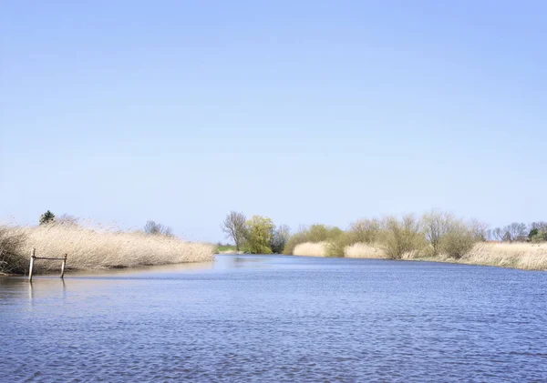 Zone umide o paludose con canneti — Foto Stock