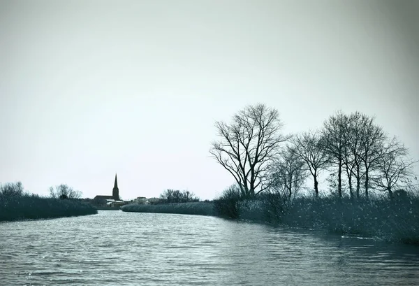 Feuchtgebiet oder Sumpfgebiet an einem Fluss — Stockfoto