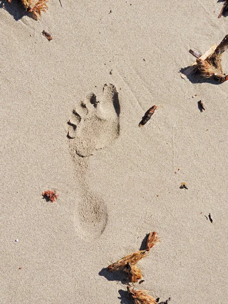 Stopa na pláži — Stock fotografie