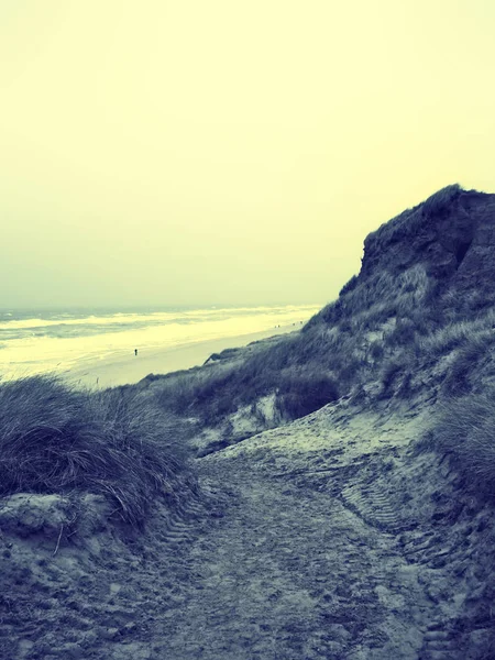 ビーチの砂丘で歩道 — ストック写真