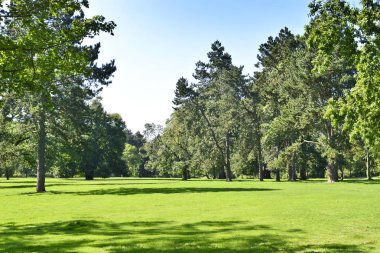 yeşil çayır ile Park sahne