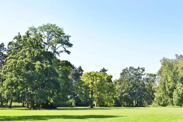Park scene with green meadow — Stock Photo, Image