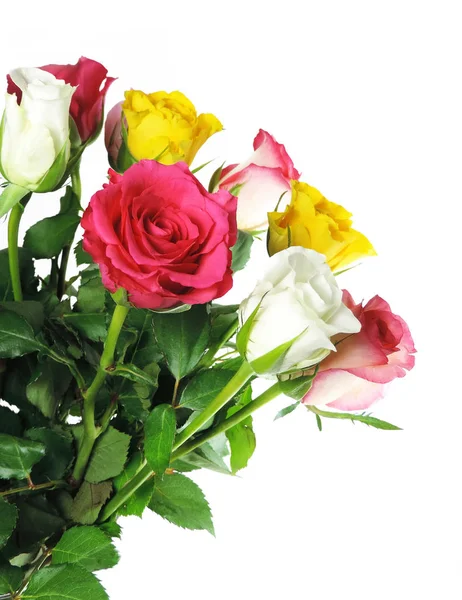 Buquê de flores de rosa multicoloridas — Fotografia de Stock