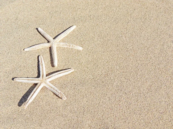 Морские звезды на песке, пляжный фон — стоковое фото