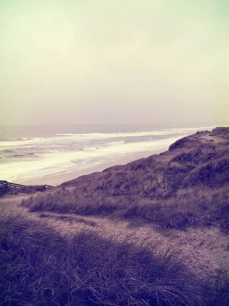 Winter beach scene with beach dunes — Stock Photo, Image