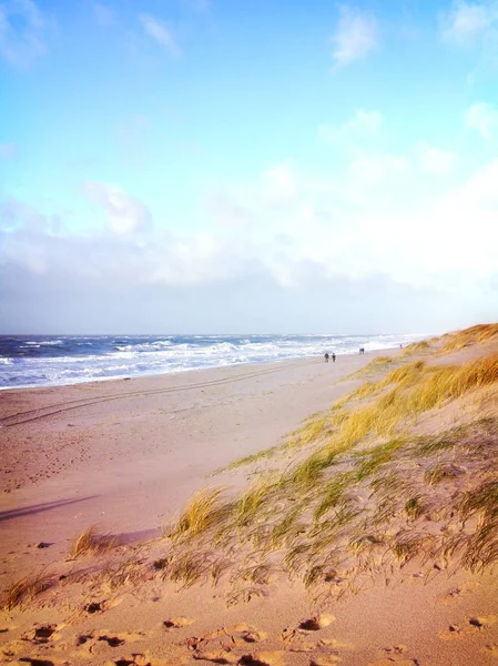 Зимняя сцена на пляже с дюнами — стоковое фото
