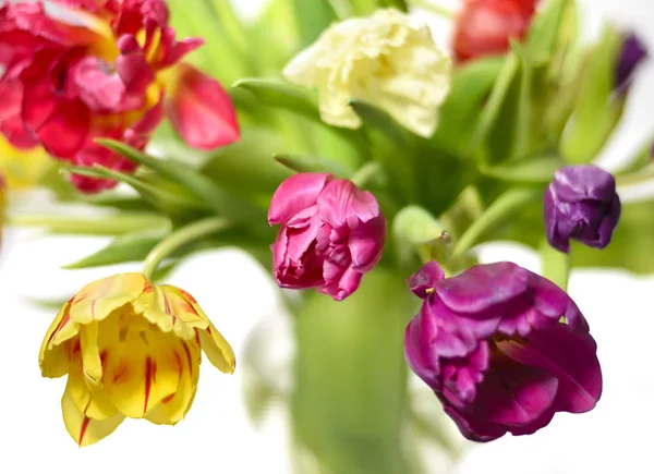 Bouquet de tulipes multicolores — Photo