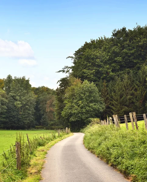 Idyllic footpath through fields — Stock Photo, Image