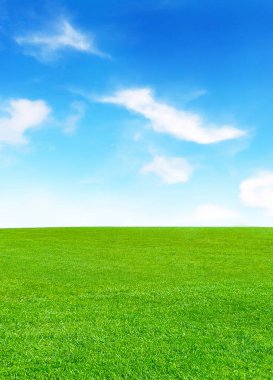 Green meadow and blue sky with fluffy clouds clipart