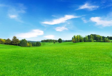  Pastoral doğa arka plan kopya alanı ile