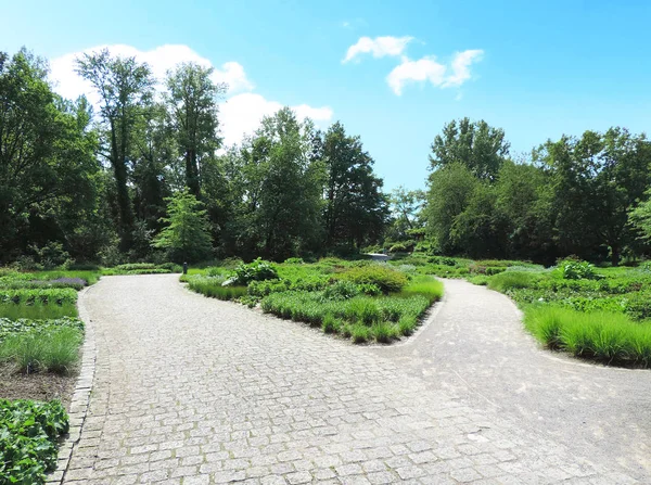 Crossroad in a park, fork road — Stock Photo, Image