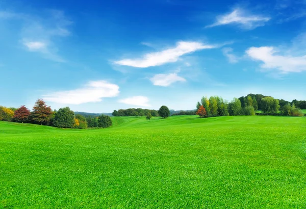 Green meadow and blue sky — Stock Photo, Image