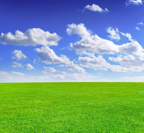 Prairie verte et ciel bleu avec des nuages duveteux — Photo