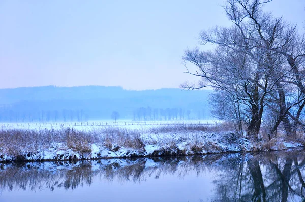 Bir nehir üzerinde sis ile kış sahne, — Stok fotoğraf