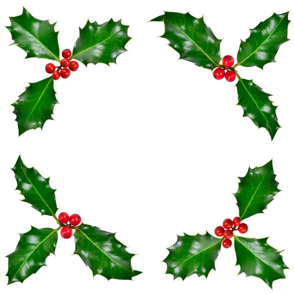 Holly rogu, świąteczne dekoracje — Zdjęcie stockowe
