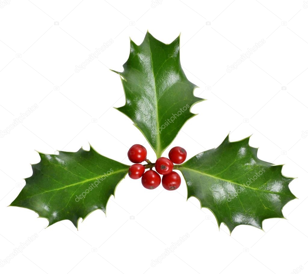 Holly corner, christmas decoration