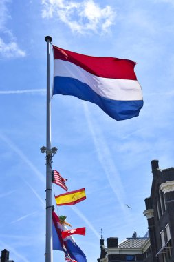 Bir bayrak direği üzerinde Hollanda bayrağı