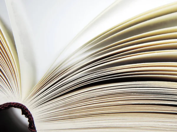 Açık kitap, yakın çekim vurdu 