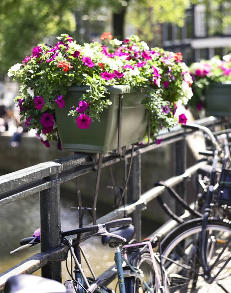 Geparkte Fahrräder in Amsterdam — Stockfoto