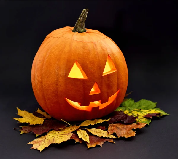 Halloween pumpkin or Jack O 'Lantern — Stock Photo, Image