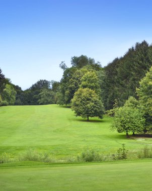 Pastoral park ya da golf sahası