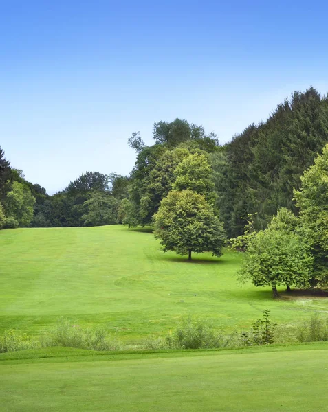 Идеальный парк или поле для гольфа — стоковое фото